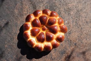Butcheln - Coghi del trentino -ricette in casa - alpibio