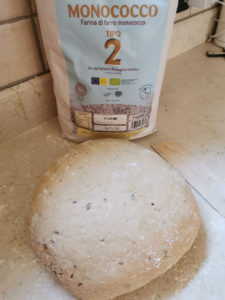 Pane integrale di segale senatore cappelli - Ricette in casa - AlpiBio